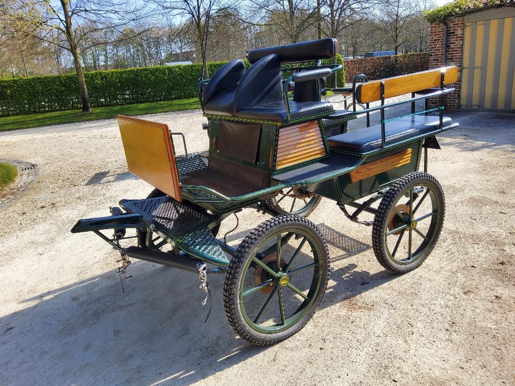 koets te koop, Zo goed als nieuw, Marathonwagen, Paard of Pony