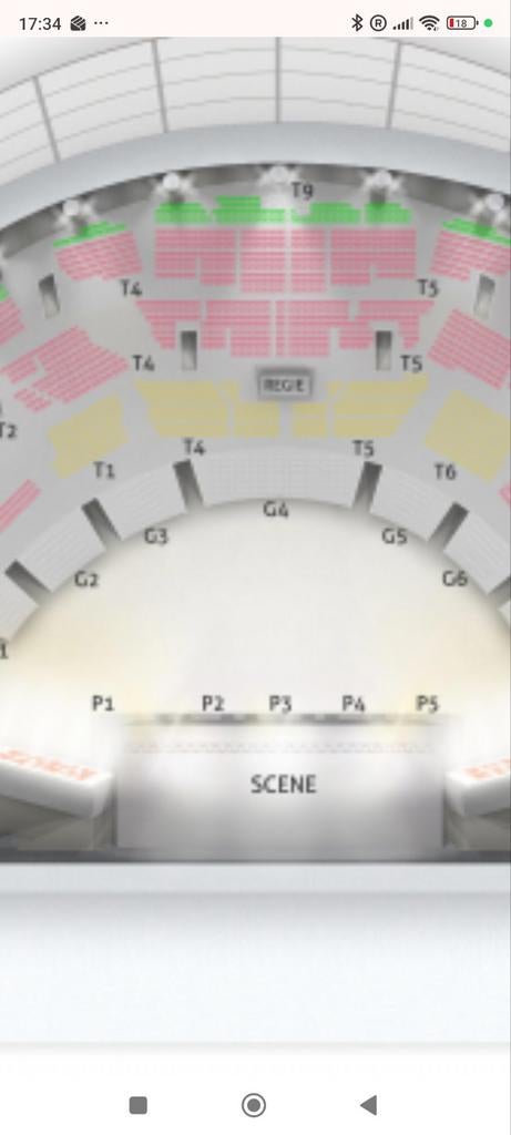 Concert met 2 zitplaatsen Vanessa Paradis Zenit Lille Carré