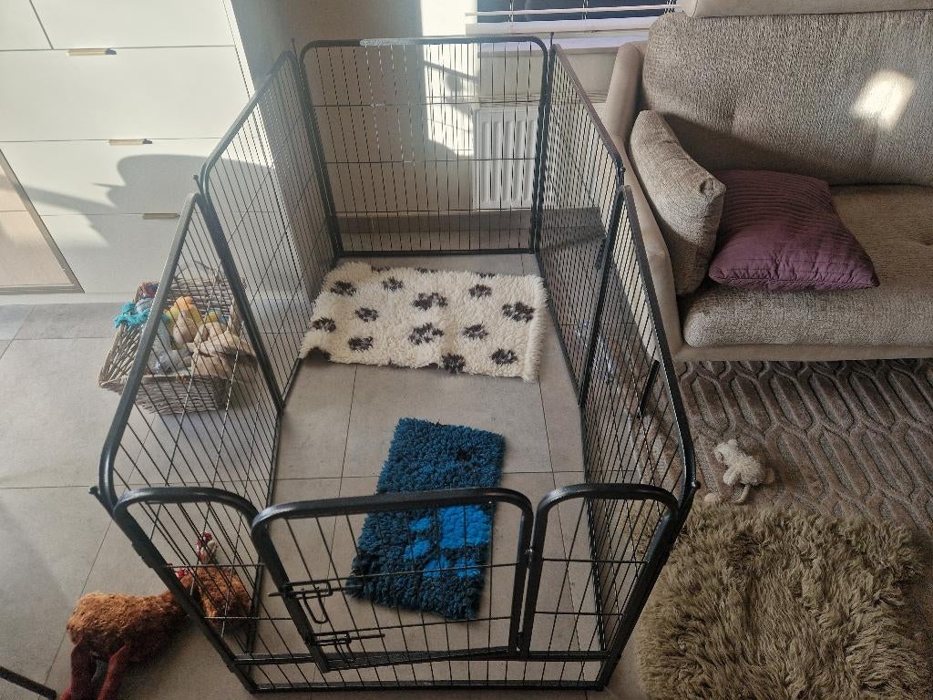 Hondenren, Dieren en Toebehoren, Ophalen, Zo goed als nieuw