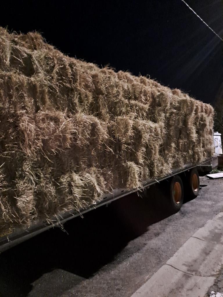 Stro & Hooi in kleine pakjes  en rollen, Dieren en Toebehoren