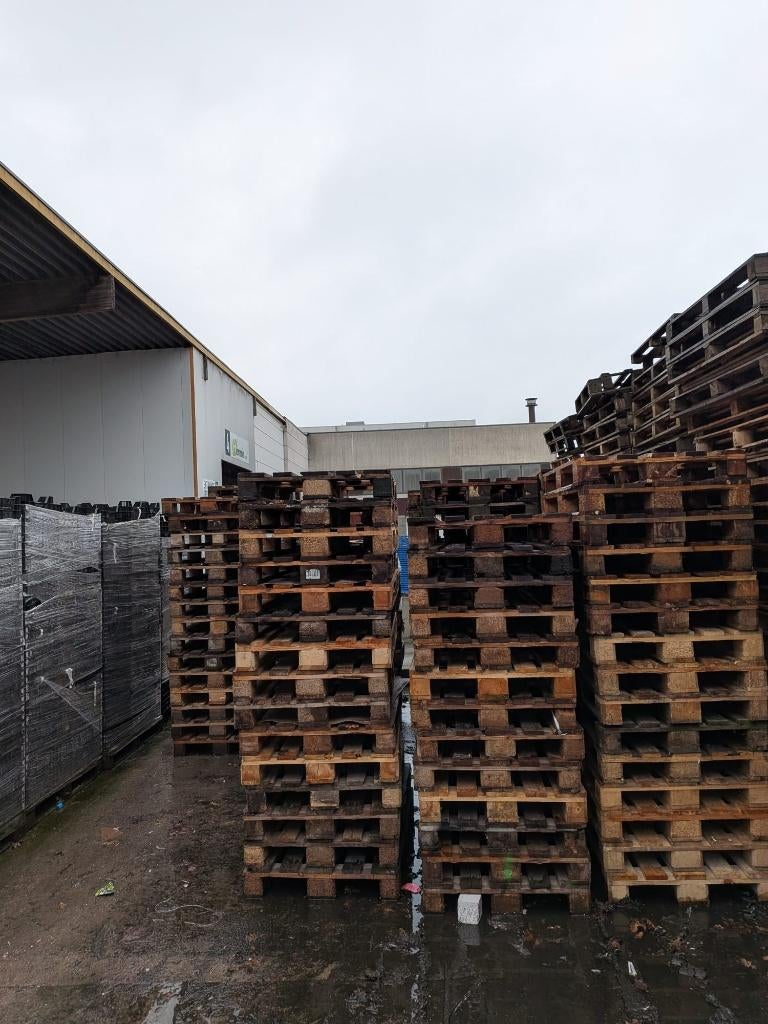euro pallets gebruikt minimaal per 100st - regelmatige basis, Enlèvement