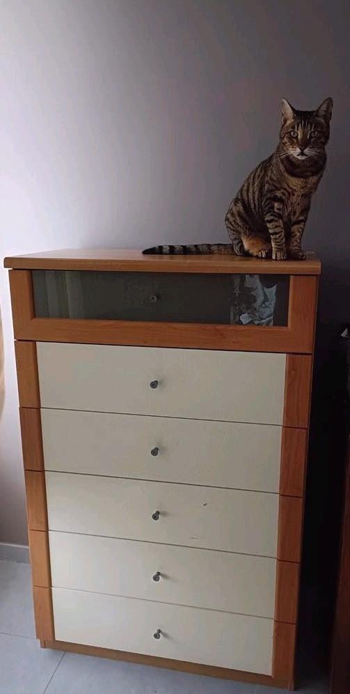 Commode haute peu encombrante, beau design, Maison & Meubles, Armoires | Penderies & Garde-robes, Utilisé, 100 à 150 cm, 50 à 100 cm