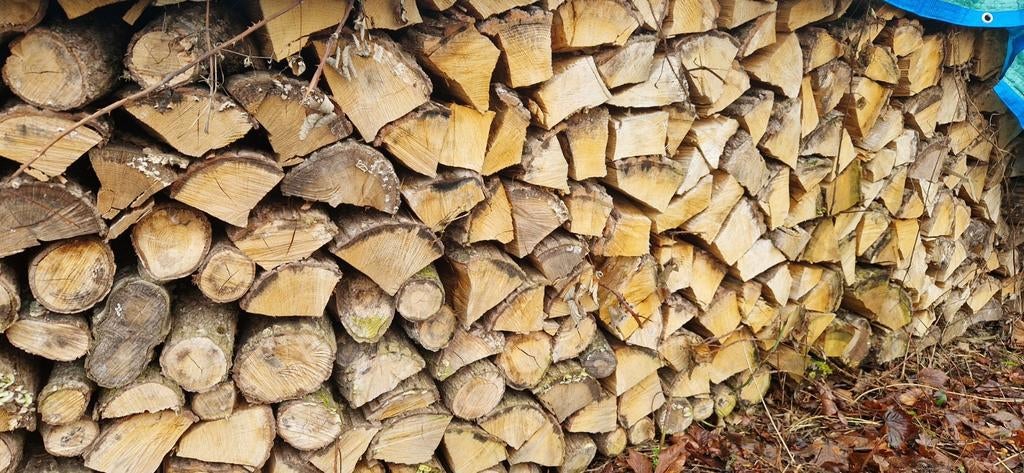 Bois de chauffage sec, Enlèvement ou Envoi, Chêne, Bûches