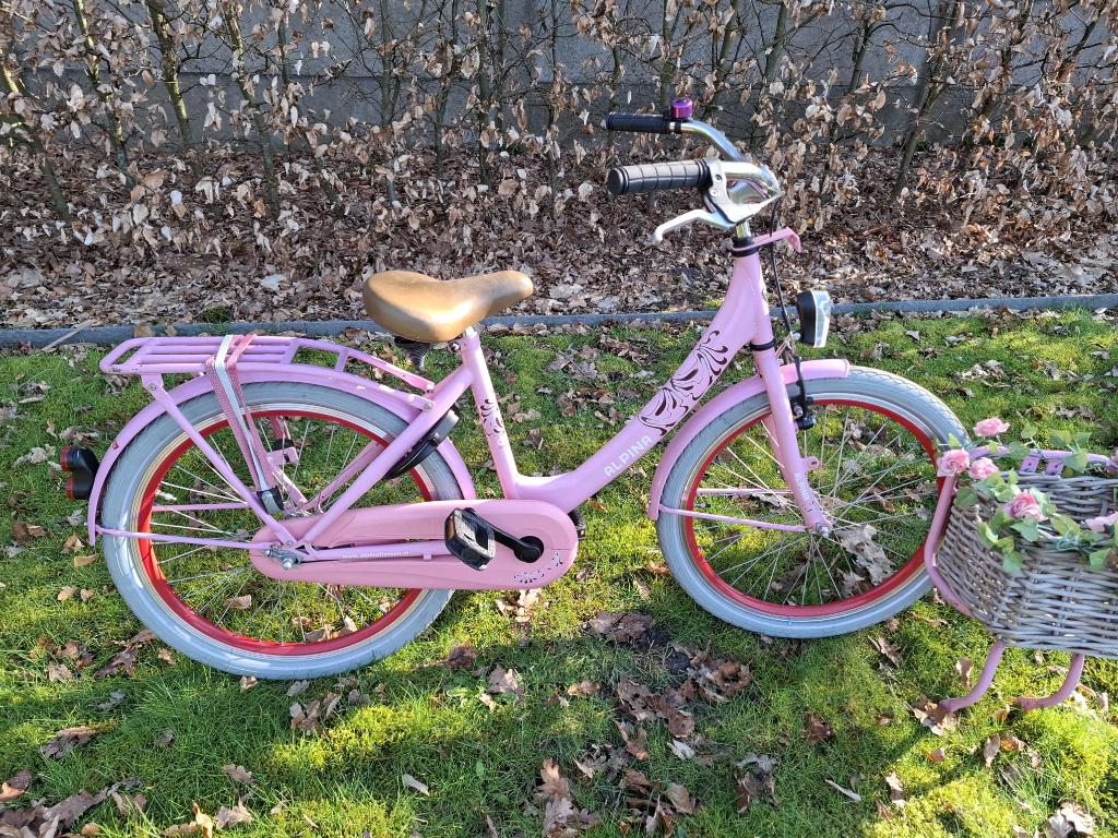 meisjes fiets, Vélos & Vélomoteurs, 24 pouces, Alpina, Enlèvement, Utilisé