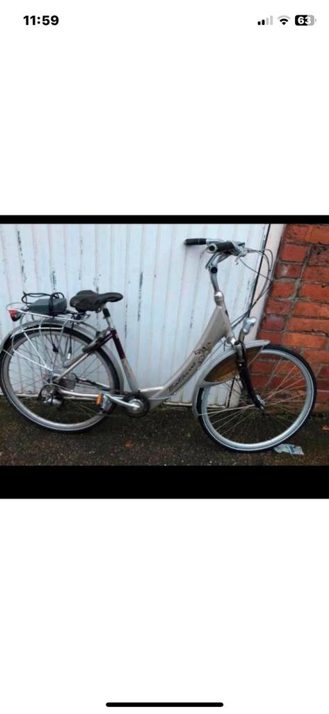 Batavus  fiets e bike, Fietsen en Brommers, Ophalen