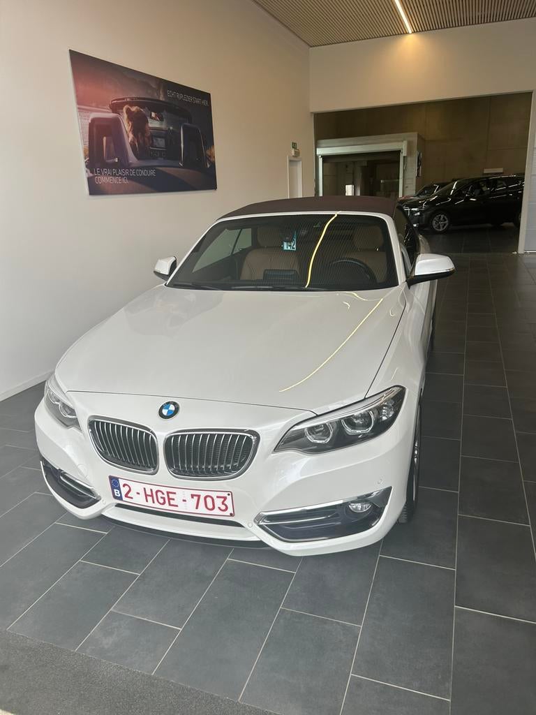 BMW 2 Serie Cabrio Automaat – in topstaat, met Premium Garan, Autos, BMW, Euro 6, Cabriolet, Automatique, Particulier