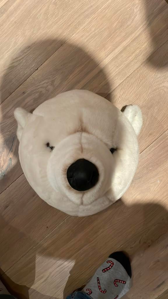 Ijsbeer dierenkop  Bibib, Ophalen, Zo goed als nieuw