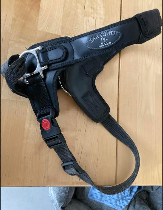 wandelharnas voor whippet, Ophalen, Gebruikt, Hondenriem-accessoire