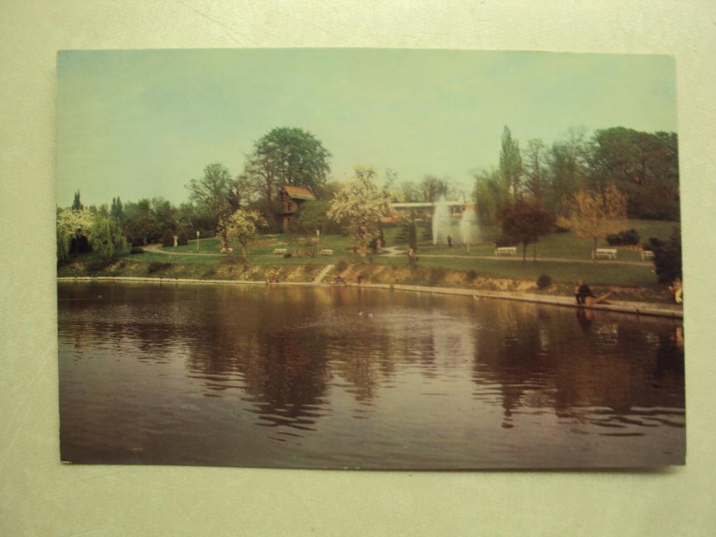 46997 - STAD GERAARDSBERGEN -ZICHT OP VISVIJVER EN VOLKSCAFE, Verzamelen, Postkaarten | België, Verzenden