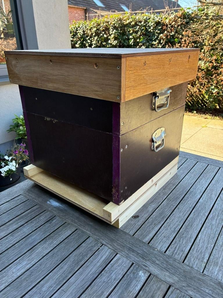 bijenkast simplex, Dieren en Toebehoren, Bijen