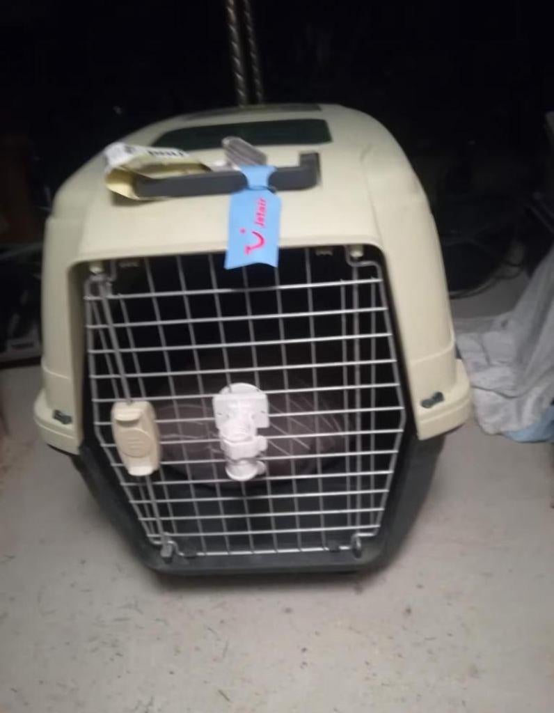 banc de transport, Enlèvement, Utilisé