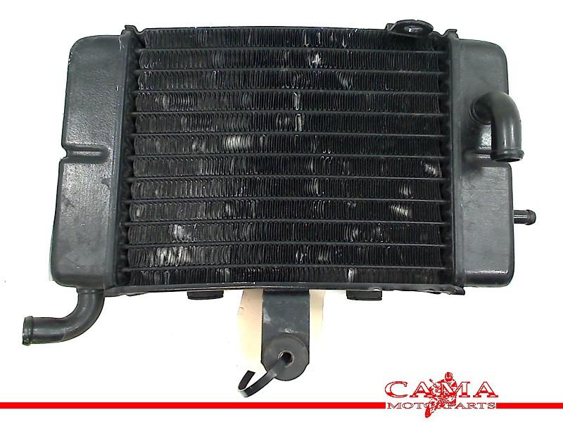 RADIATEUR Honda XL 600 V Transalp 1997-1999 (XL600V PD10), Motoren, Dhr. S. di Majo, Gebruikt, Info@cama-motorparts.nl, P.J. Troelstraweg 8 8
3144 CX  MAASSLUIS, NL