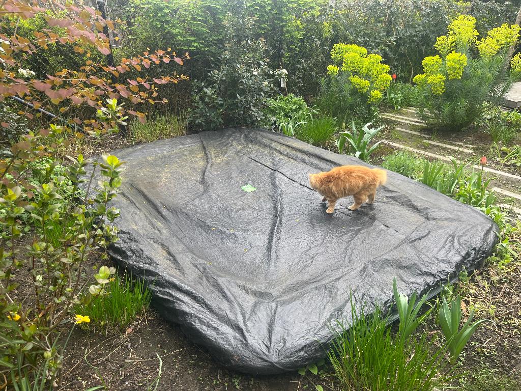 Exit trampoline 305 x 214 cm (inground), Kinderen en Baby's, Speelgoed | Buiten | Trampolines, Ophalen, Gebruikt