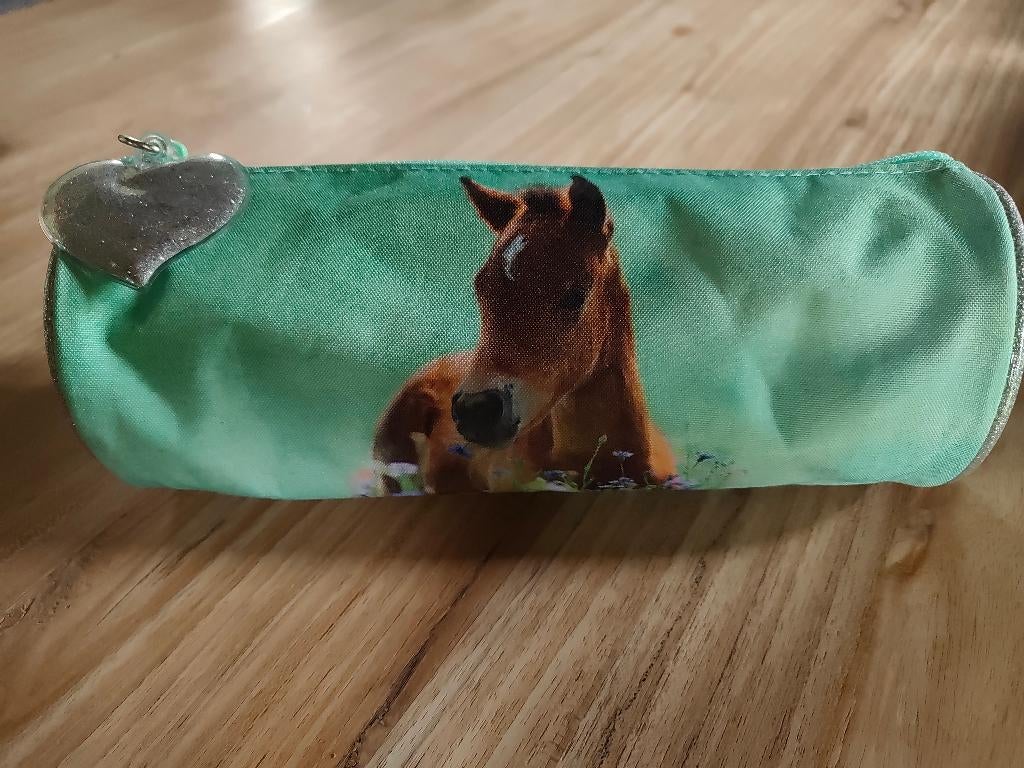 Pennenzak veulen, Ophalen of Verzenden, Zo goed als nieuw