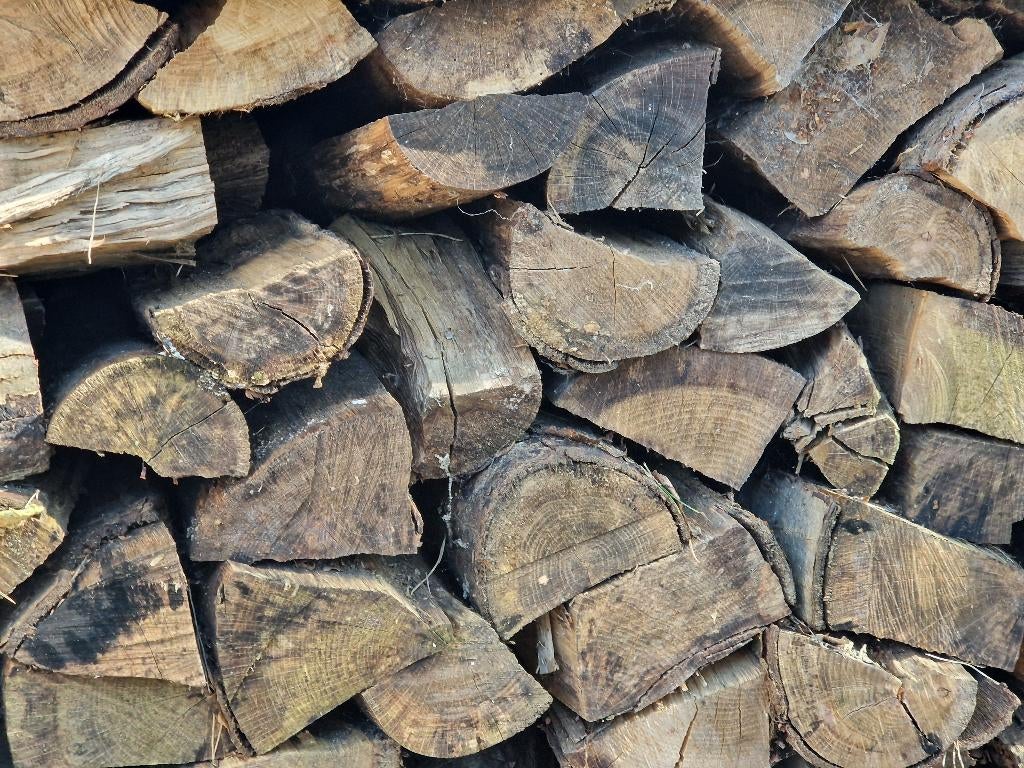 Brandhout eik gedroogd, 6 m³ of meer, Ophalen, Eikenhout, Blokken