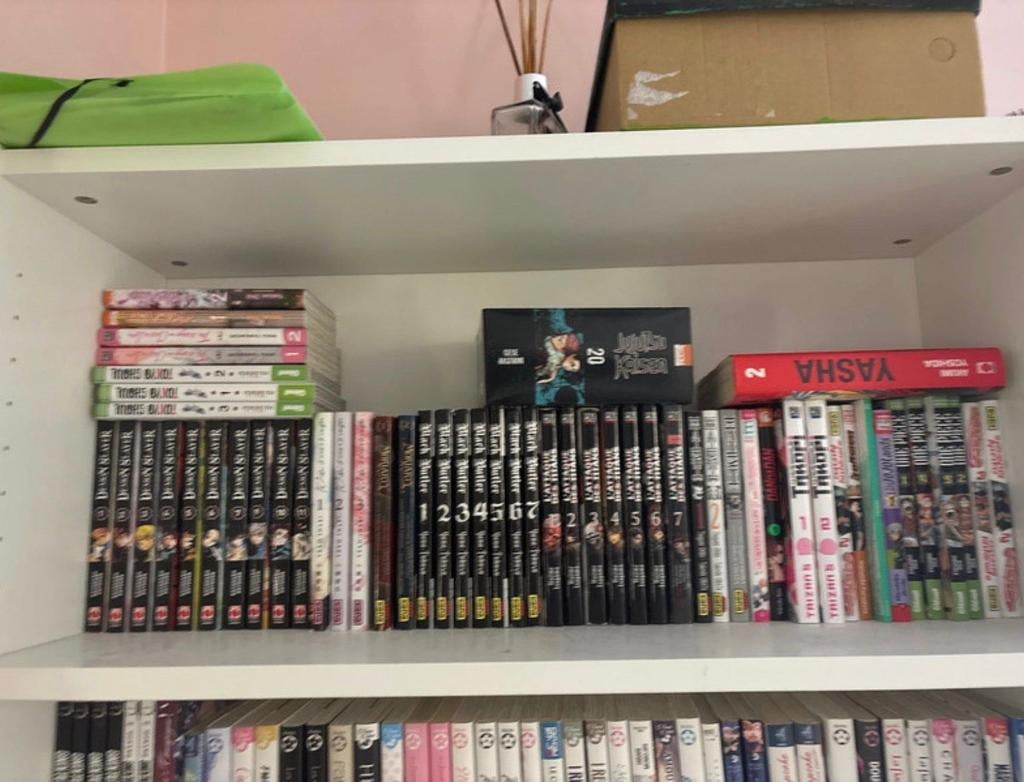 Collection de mangas, Livres