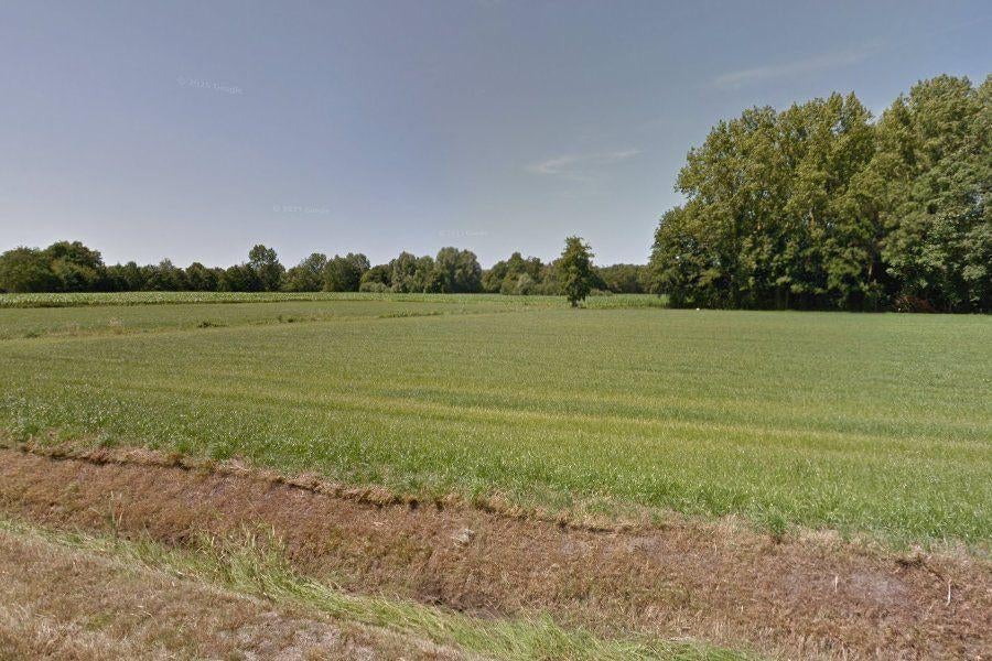 te koop grond 55 are., Immo, Hamont achel, Verkoop zonder makelaar, 1500 m² of meer