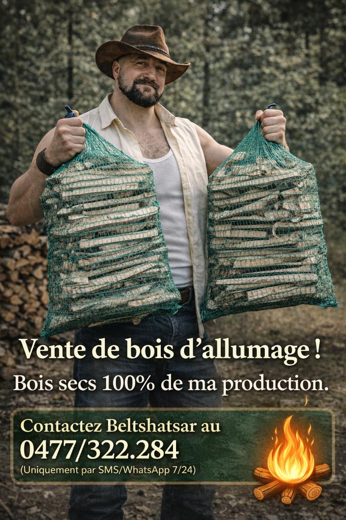 Bois d'allumage - Filet Green 30x50 (environ 5,6 kg) 🔥, Moins de 3 m³, Enlèvement, Autres essences de bois, Troncs d'arbres