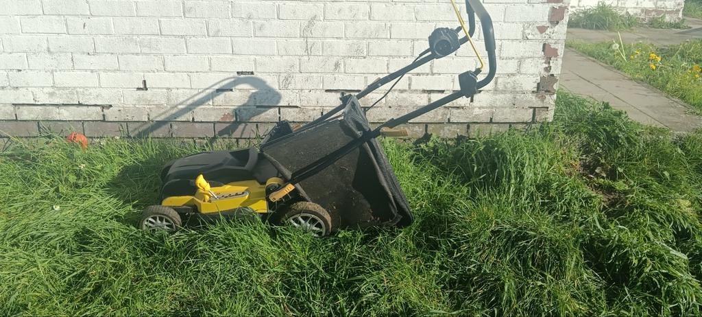 Tondeuse électrique