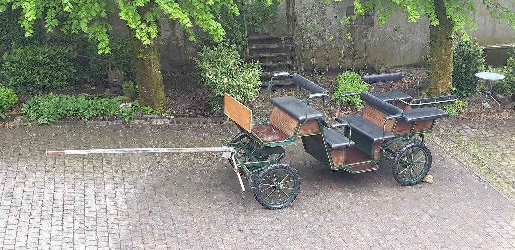 Calèche à vendre, Animaux & Accessoires, Utilisé, Autres types, Cheval