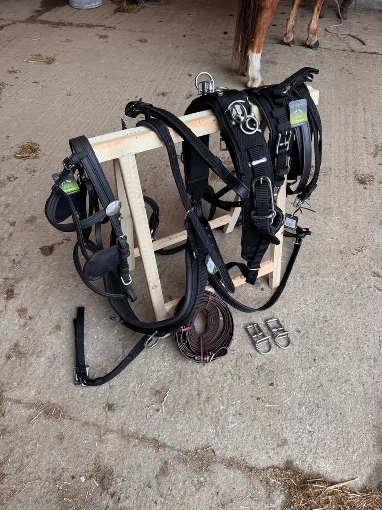 Harnais attelage taille COB, Enlèvement, Neuf, Autres espèces