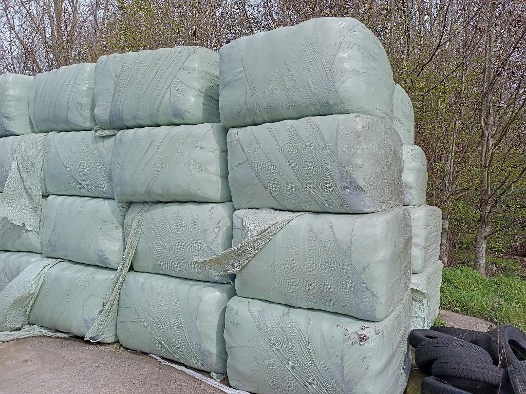 voordroog, Zakelijke goederen, Landbouw | Veevoer, Ophalen