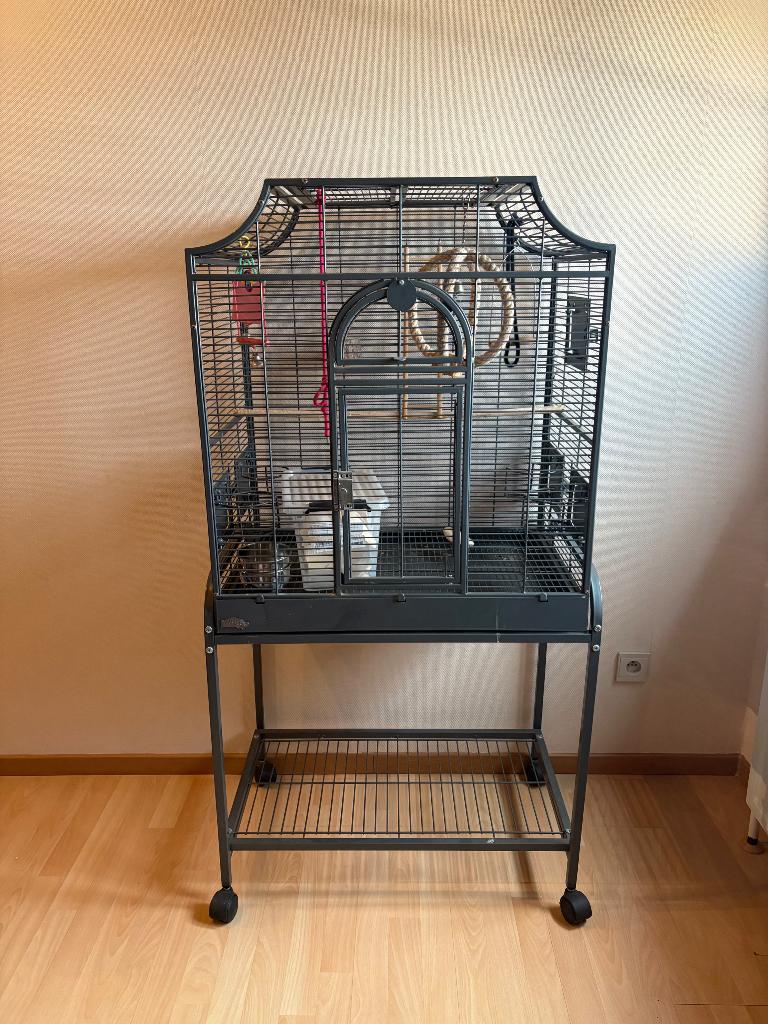 Vogel of papegaai kot, Ophalen, Zo goed als nieuw