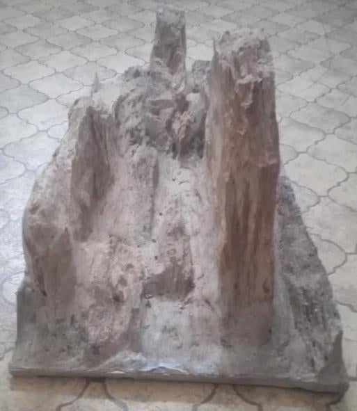 Decor fond et bambous, Animaux & Accessoires, Enlèvement, Utilisé, Terrarium ou Paludarium