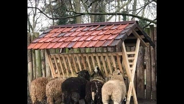 Robuuste hooiruif, Animaux & Accessoires