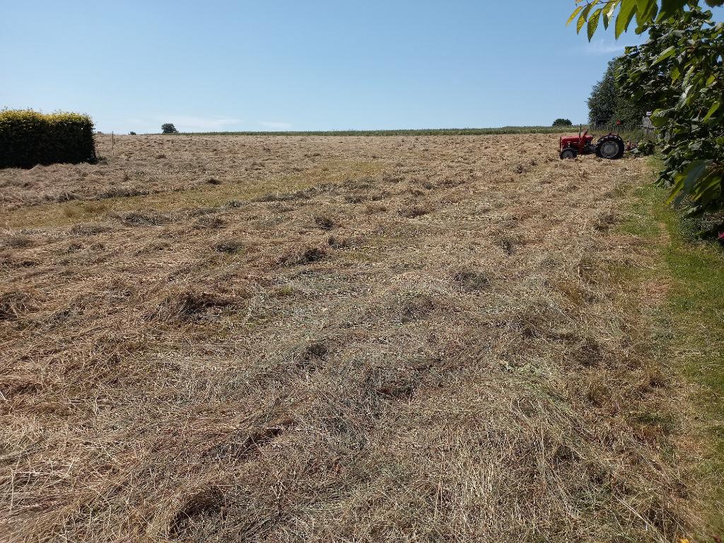foin, Animaux & Accessoires, Nourriture pour Animaux, Enlèvement
