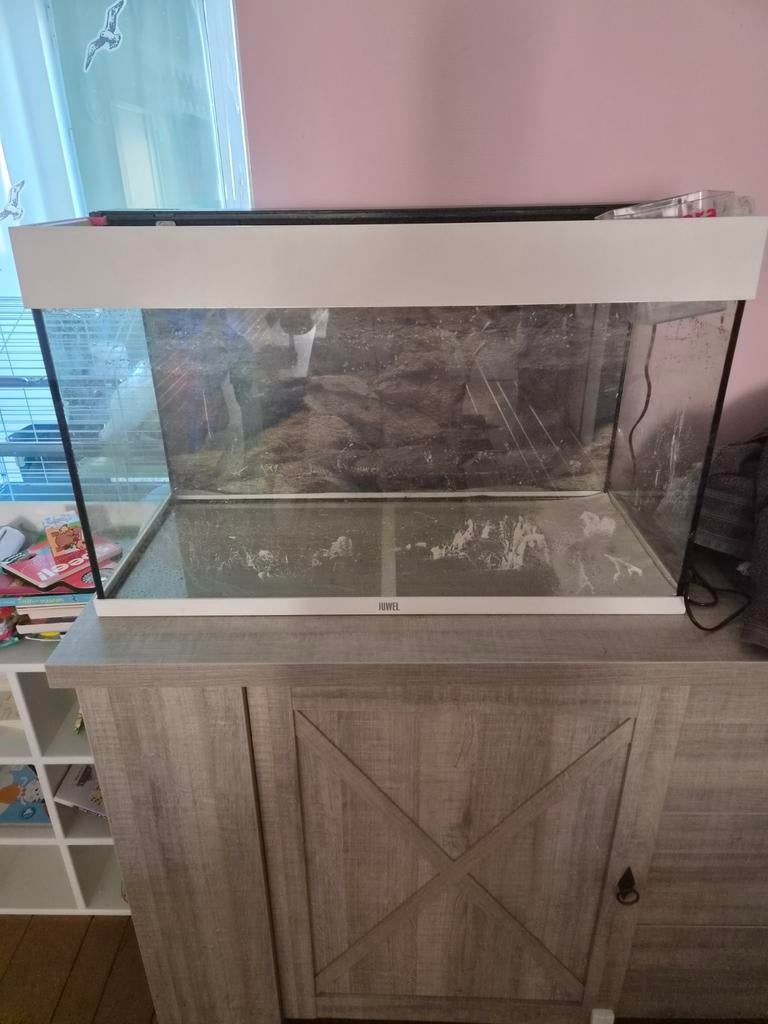 Juwel rio 125, Ophalen, Juwel