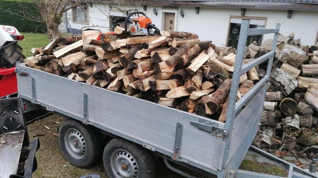 Brandhout te koop, zie omschrijving., Tuin en Terras, Ophalen of Verzenden, Stammen