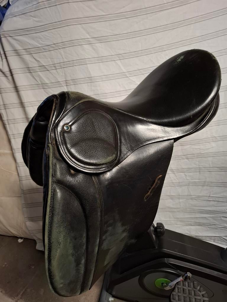 Stubben Scandia, Dieren en Toebehoren, Ophalen