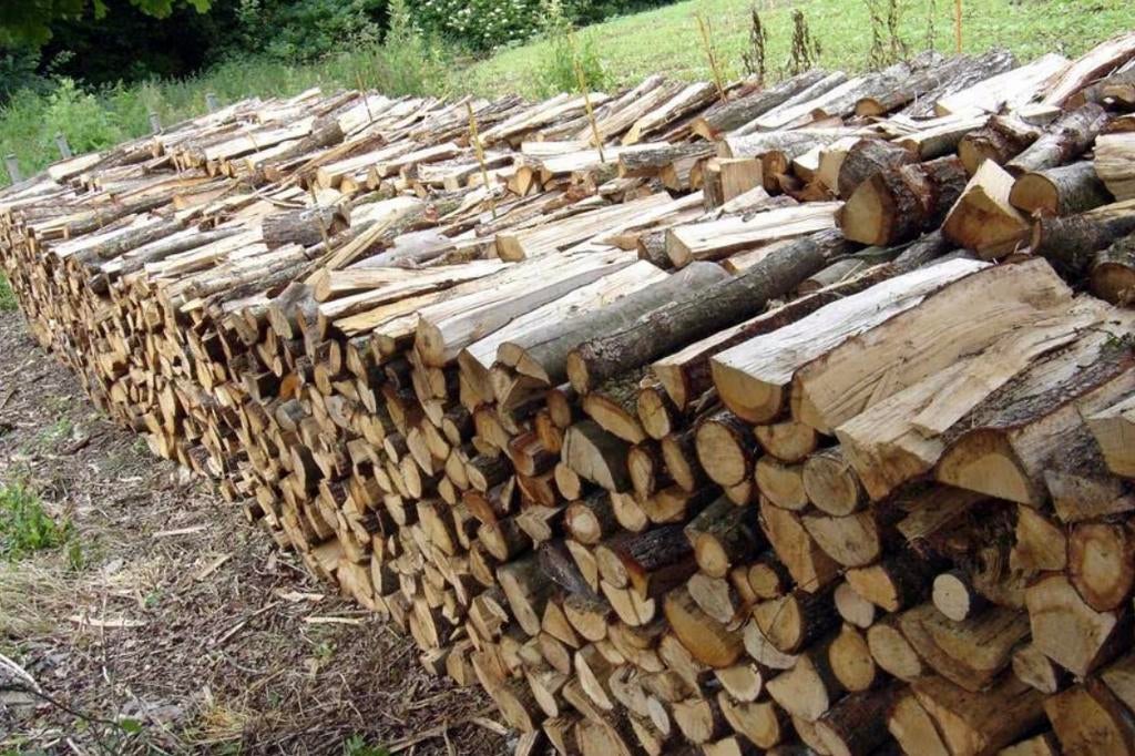 bois de chauffage, 6 m³ ou plus, Enlèvement ou Envoi, Frêne, Bûches