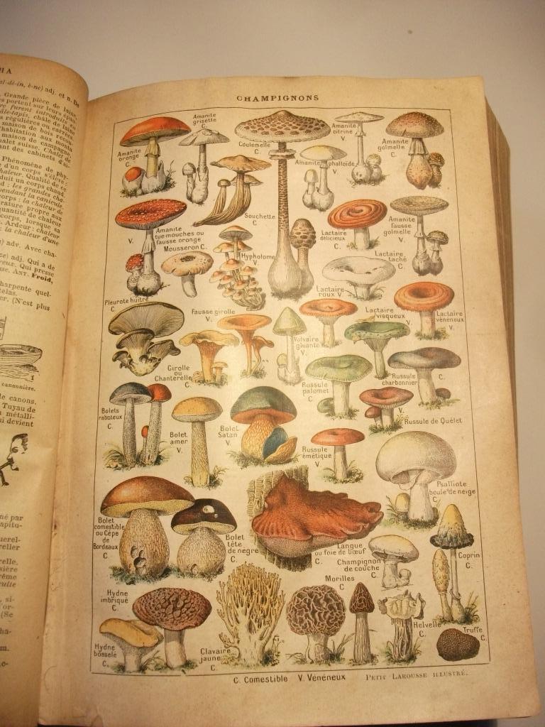 Petit Larousse Illustré 1912 & 1987 Nouveau dictionnaire, Enlèvement ou Envoi