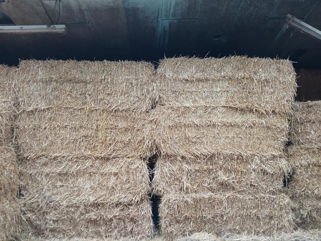 Kleine botjes, grote pakken stro, voederbieten, Dieren en Toebehoren, Dierenvoeding, Ophalen of Verzenden