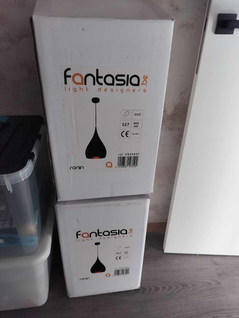 2 hanglampen Fantasia Ronin, Ophalen of Verzenden, Zo goed als nieuw