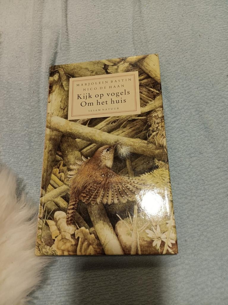 Marjolein Bastin, Enlèvement, Utilisé