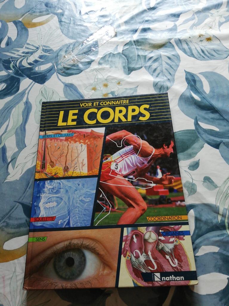 Voir et connaître le corps. Nathan., Livres, Livres pour enfants | Jeunesse | 10 à 12 ans, Enlèvement ou Envoi, Comme neuf