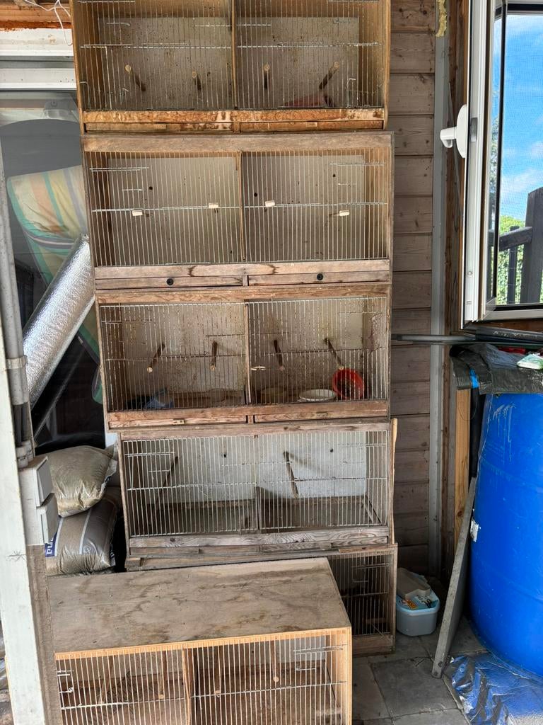 6 kweekkooien, Enlèvement, Utilisé, Bois, Cage d'élevage