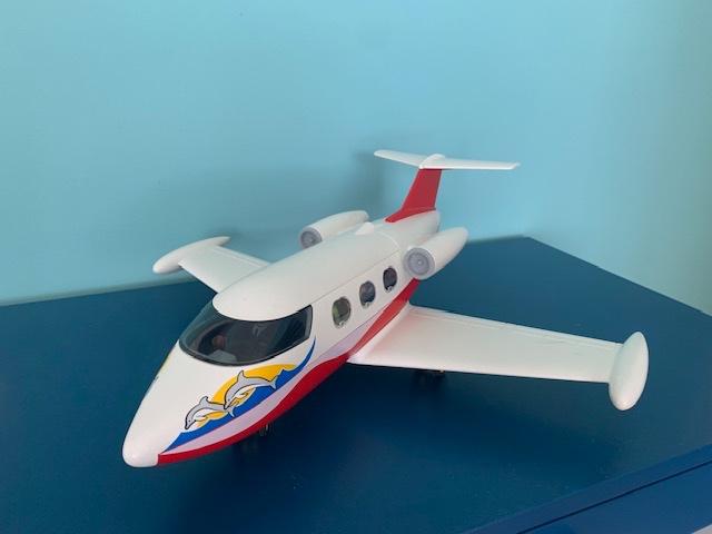 Avion de tourisme PLAYMOBIL, Enlèvement