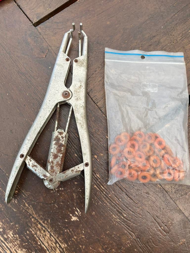 Tang schapen, Dieren en Toebehoren