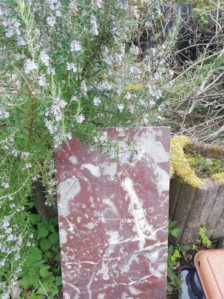 Marmer plaat roze wit, Ophalen