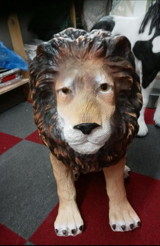 Leeuw, Tuin en Terras, Ophalen