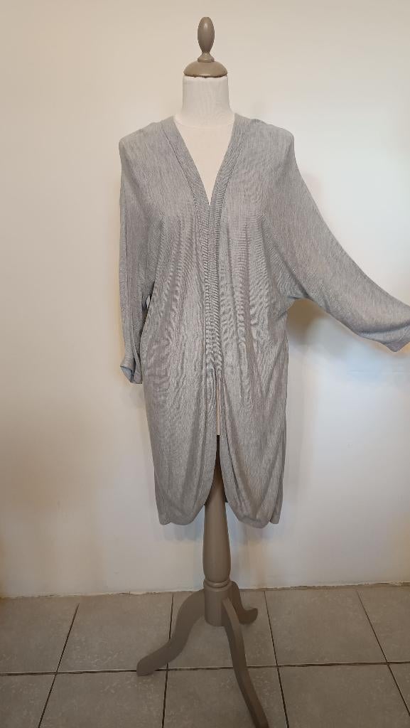 Gilet femme gris. Taille L. 🙋‍♀️, Vêtements | Femmes, H&M, Enlèvement ou Envoi, Comme neuf, Gris