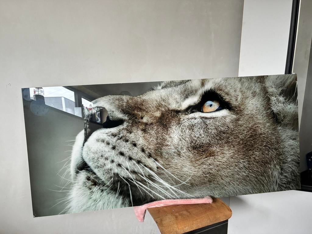 Châssis long, Enlèvement, Utilisé, Panneau mural