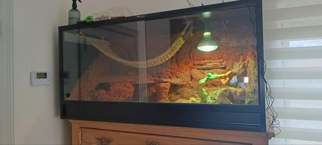 Aluminium Terrarium met baardagaam, Ophalen