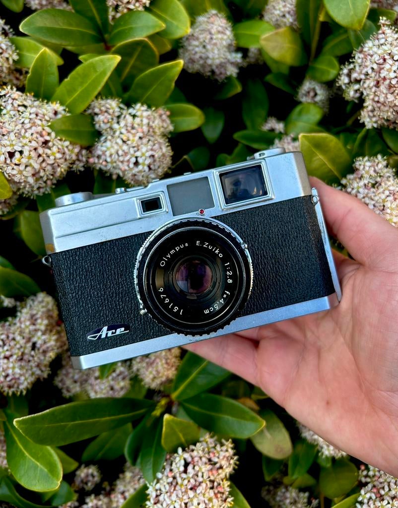 Vintage Tested & Working Olympus Ace Rangefinder, Audio, Tv en Foto, Fotocamera's Analoog, Ophalen of Verzenden, Zo goed als nieuw