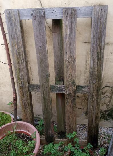 Pallet (hout) (vlakbij Hubo UZ Gent), Ophalen, Pallet