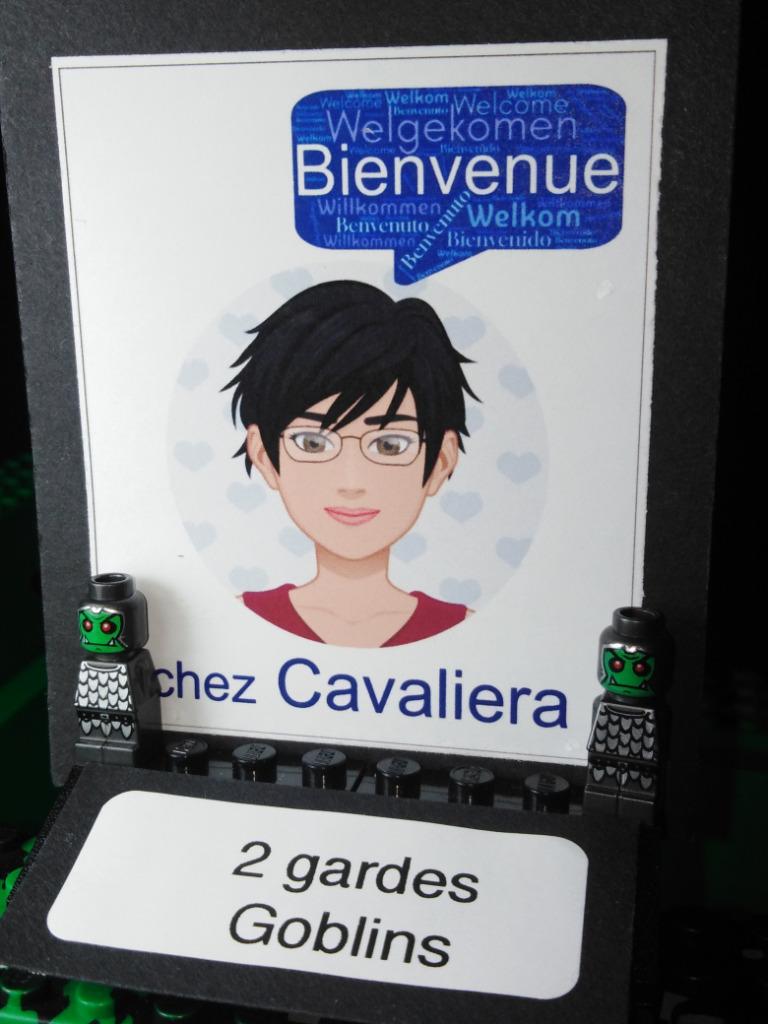 Lot de 2 Microfigurines Lego - Heroica Garde Goblin - Lego G, Enlèvement ou Envoi, Comme neuf, Briques en vrac, Lego